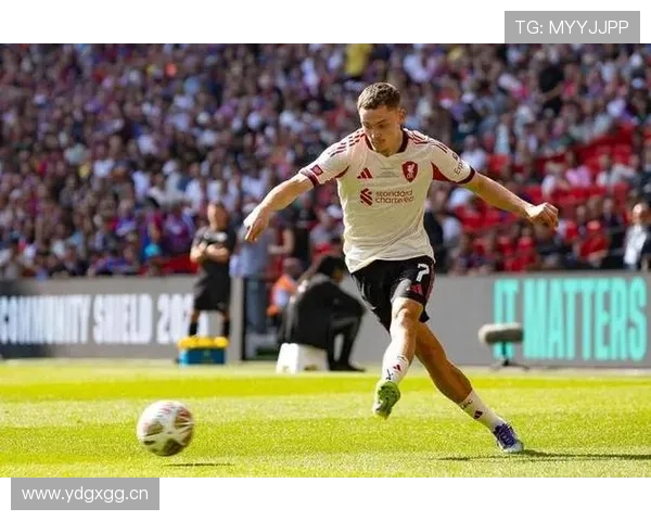 英超伯恩茅斯引援