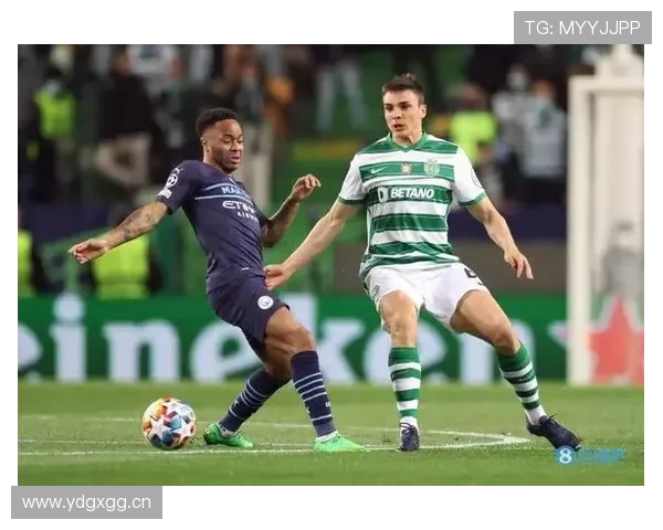 帕利尼亚从布拉加到回归葡萄牙体育的关键转折解析 帕利尼亚从布拉加到回归葡萄牙体育的关键转折解析