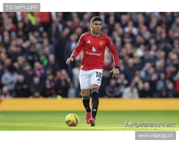 琼阿梅尼与卡塞米罗的后腰传承：防守结构与角色差异解析